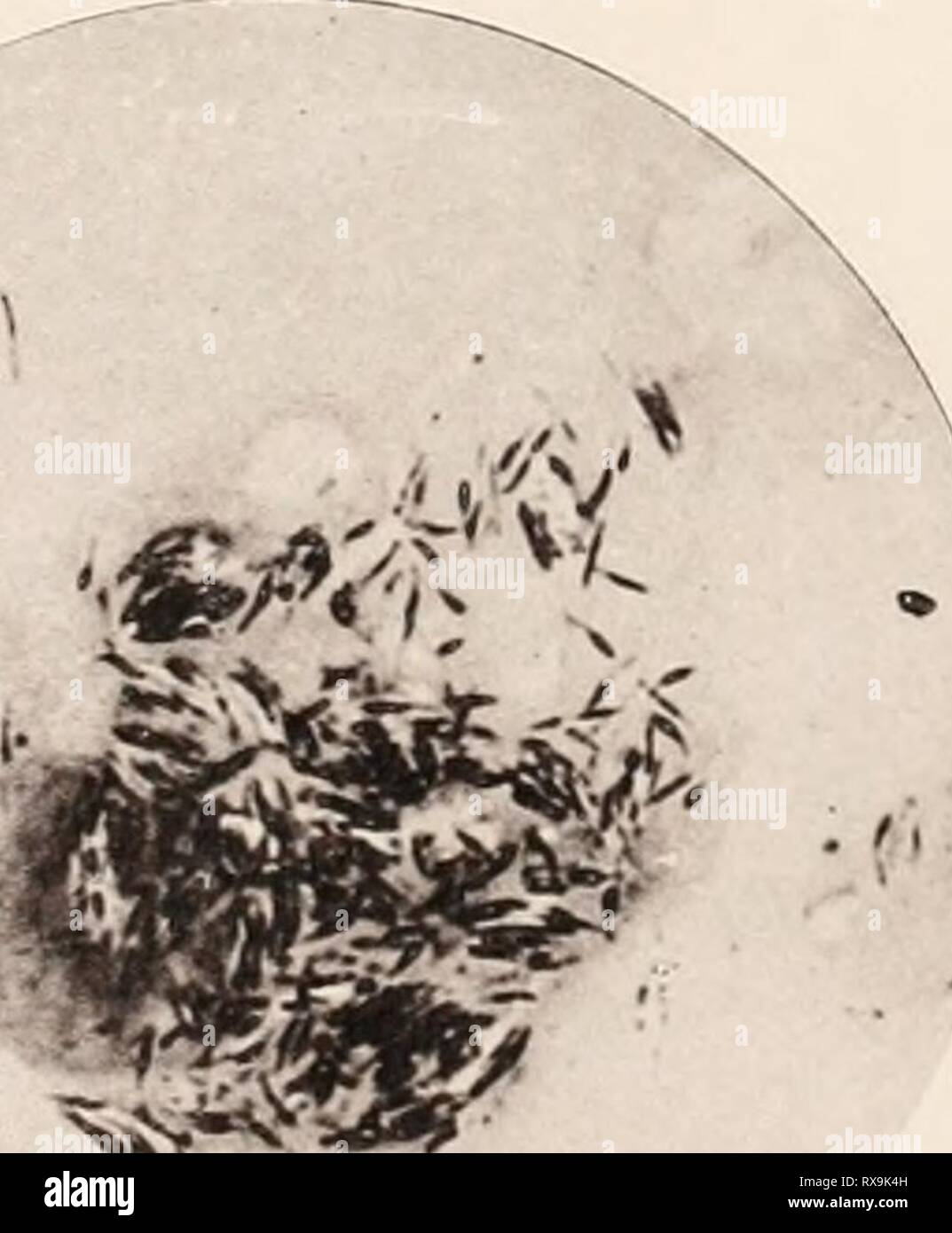 Vcv High Resolution Stock Photography And Images Alamy