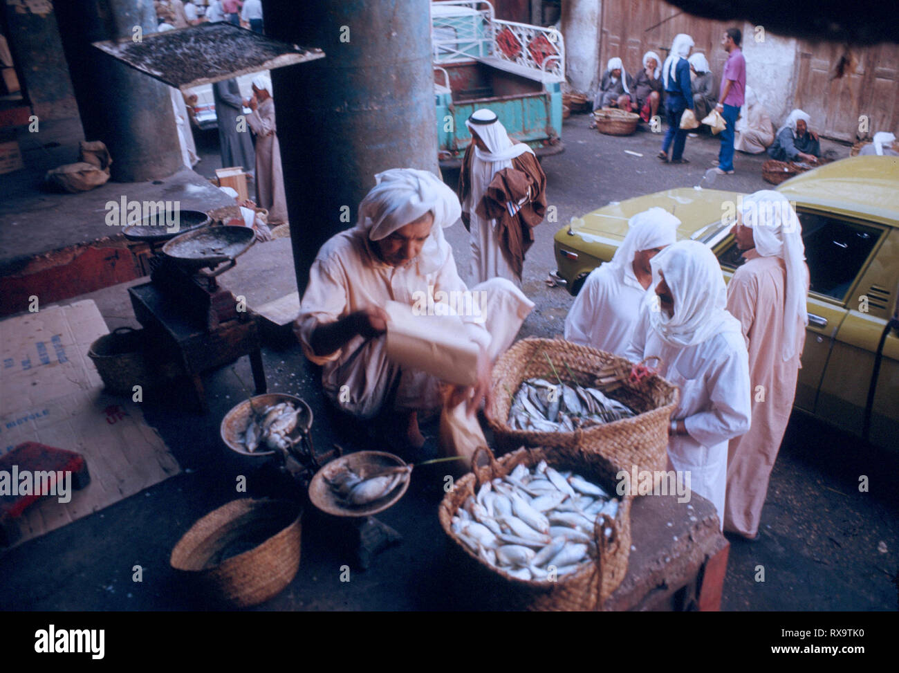 Manama bahrain fish market fish hires stock photography and images Alamy