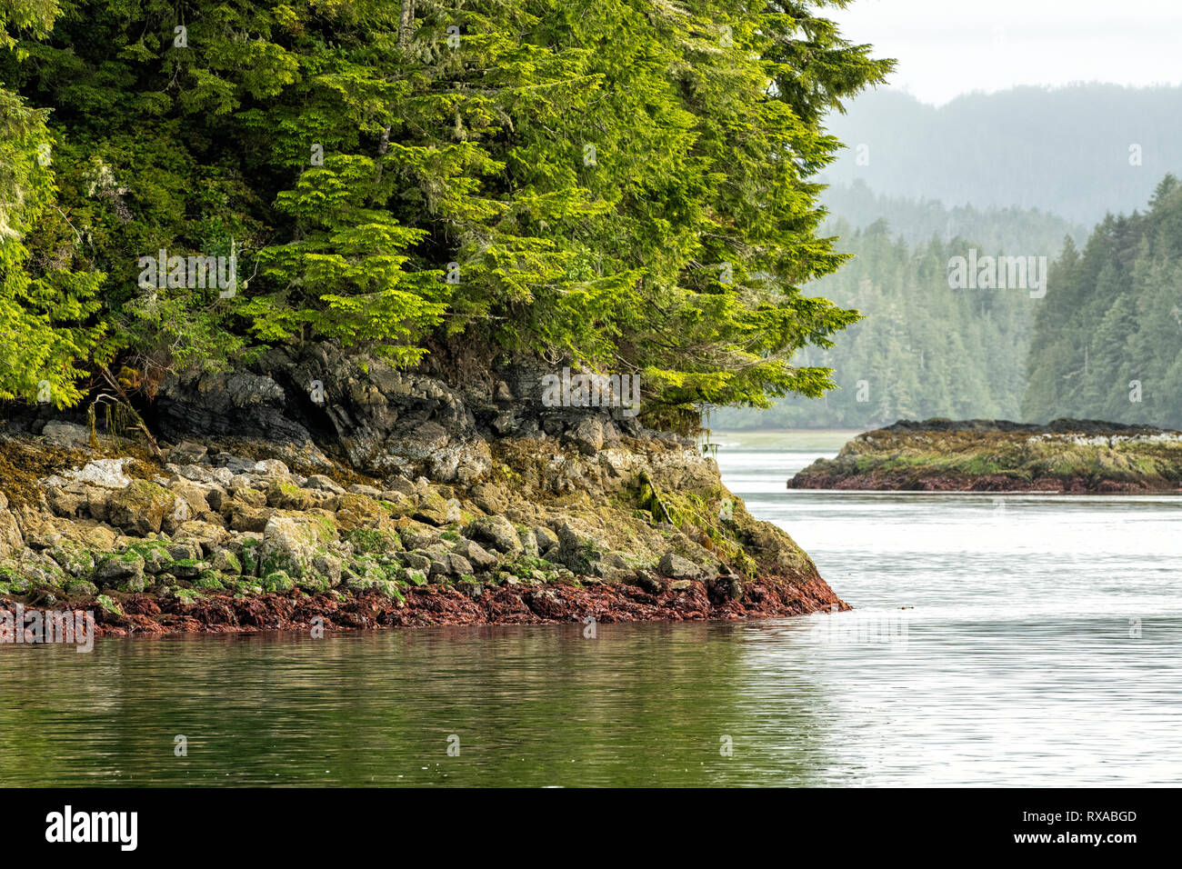 Browning Passage heading towards Fortune Channel, Tofino, BC, Canada Stock Photo