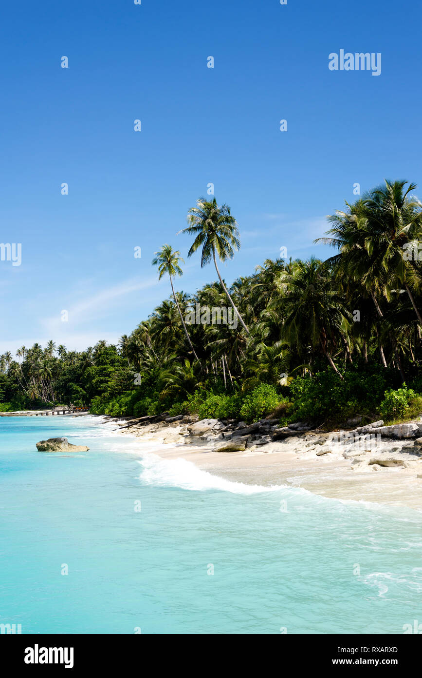 Sunny beach day palm trees hi-res stock photography and images - Alamy