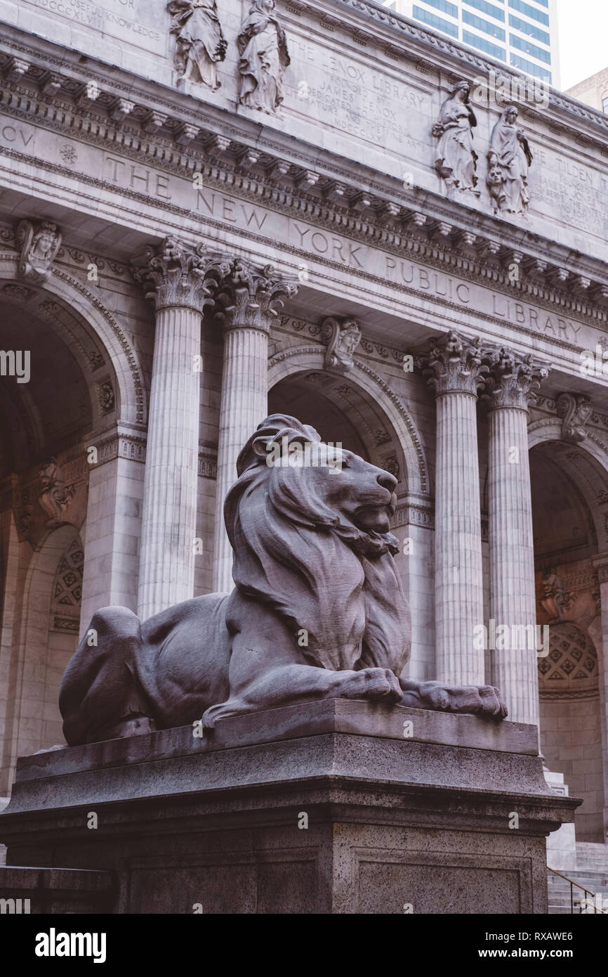 New york public library lion hires stock photography and images Alamy