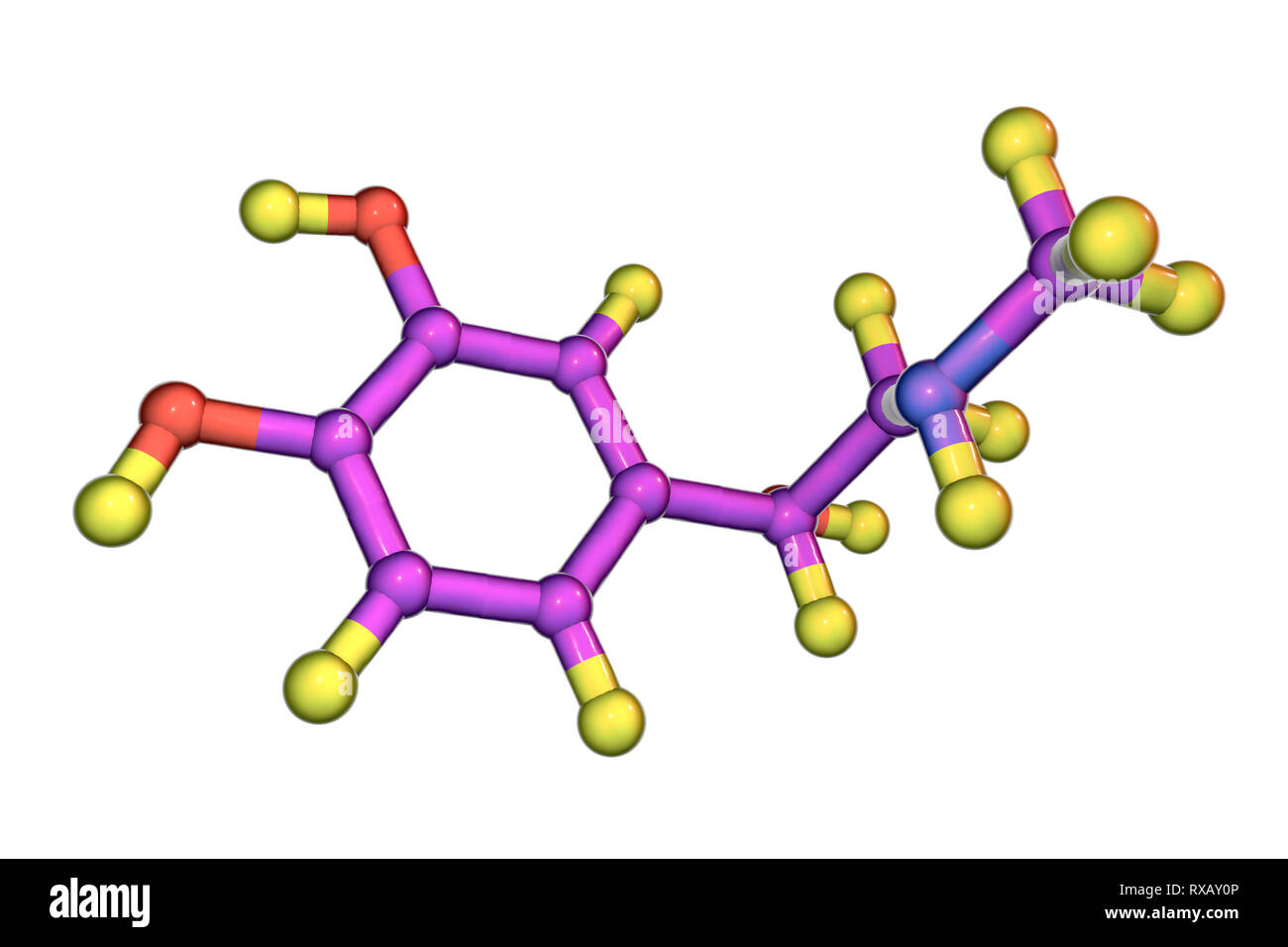 Adrenaline, molecular model Stock Photo