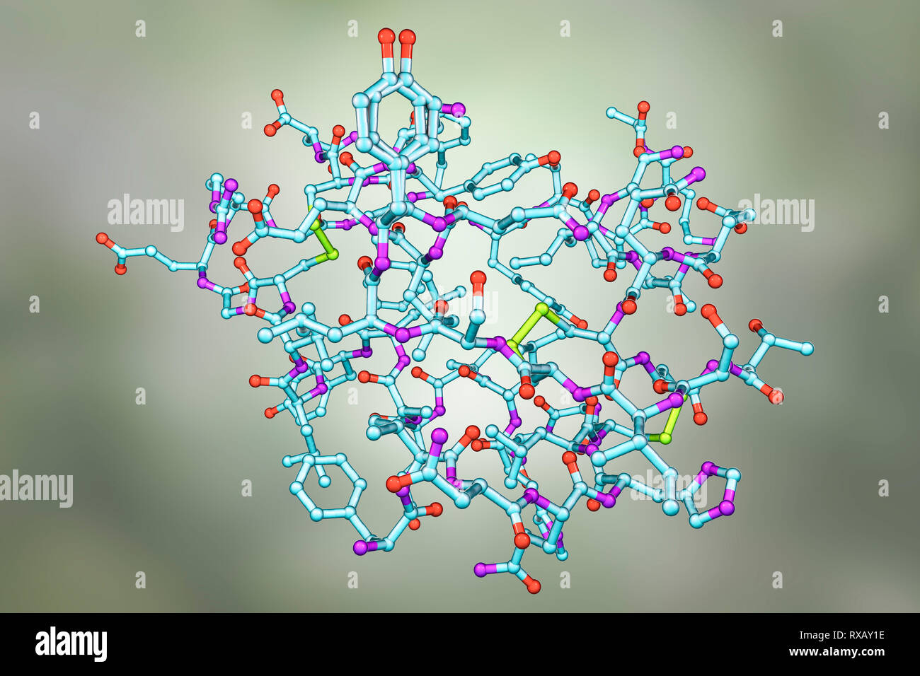 Insulin hormone molecule, illustration Stock Photo