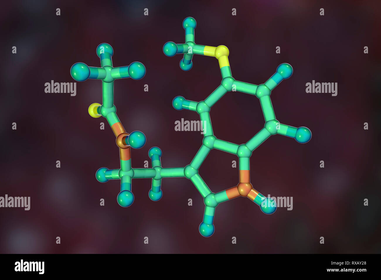 Melatonin hormone, molecular model Stock Photo Alamy