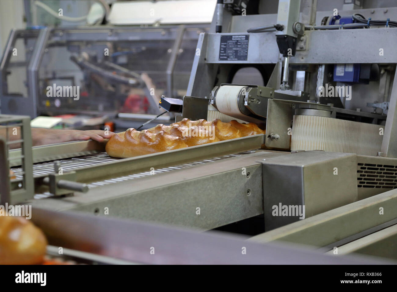breads processing on production line in factory Stock Photo