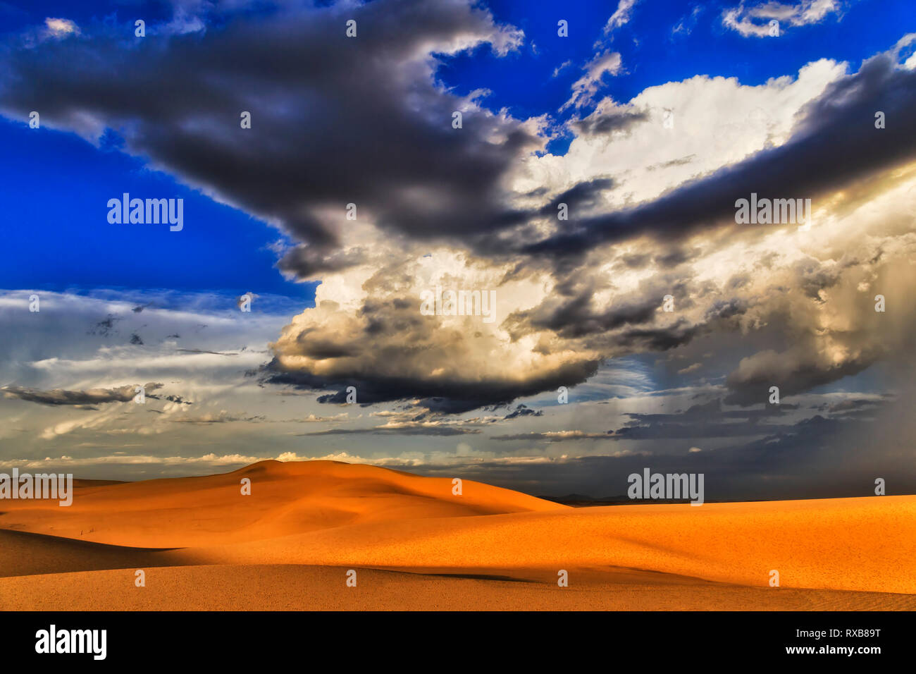 Sunlit dry desert at sunset during storm with huge shaped cloud over sand dunes and horizon in blue sky - Stockton beach of Hunter region, Australia. Stock Photo