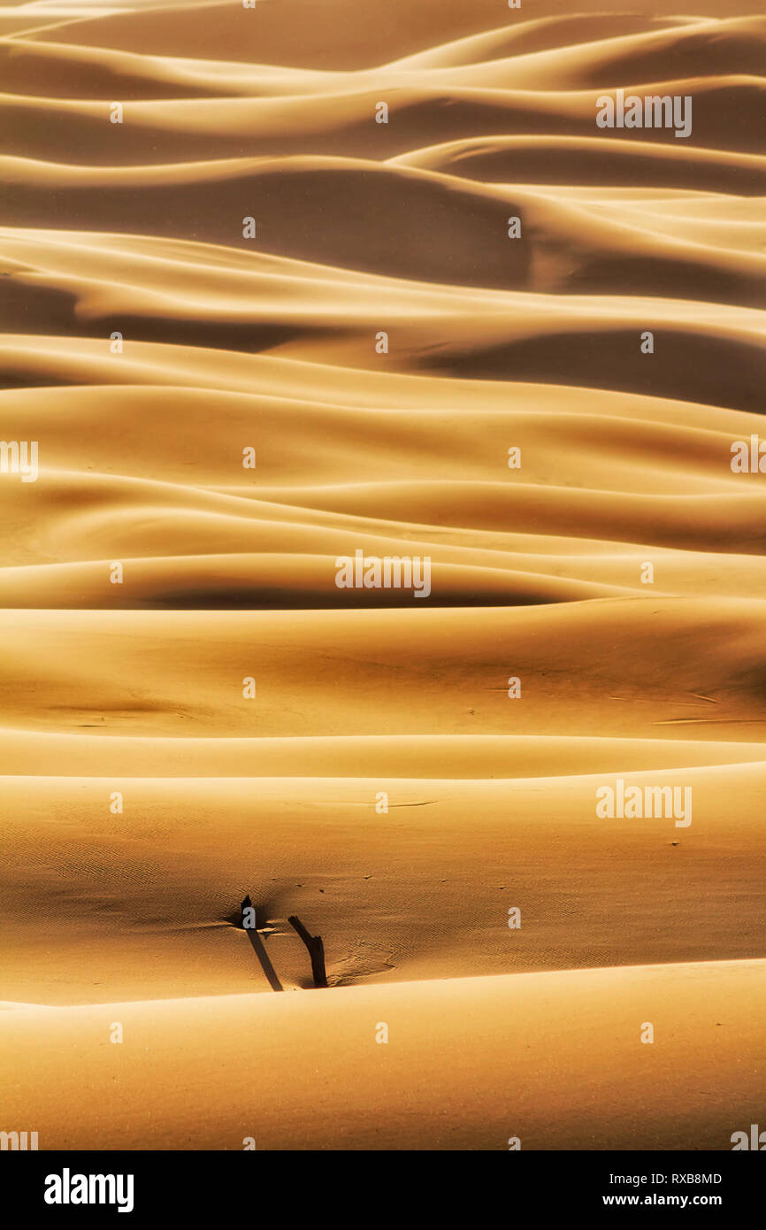Endless waves of sand dune masses in deserted area of Stockton beach in Worimi national park on Australian pacific coast - vertical abstract fragment. Stock Photo
