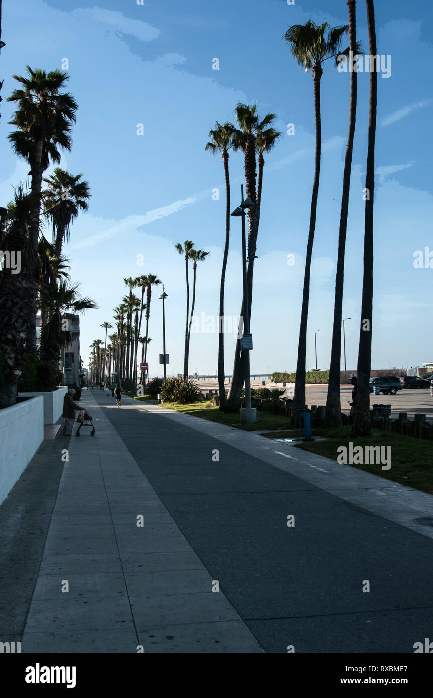 The pathway between the homes and the water front at Venice Beach