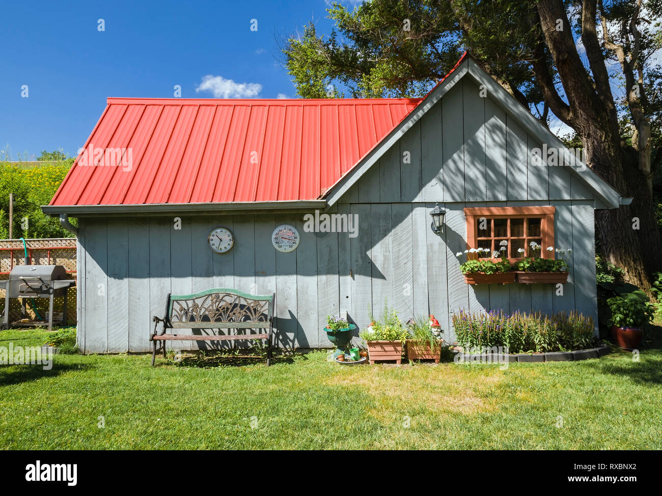 Old grey wood planked storage and garden shed with red standiing seam sheet metal roof in residential backyard in summer, Quebec, Canada. This image is property released. CUPR0329 Stock Photo