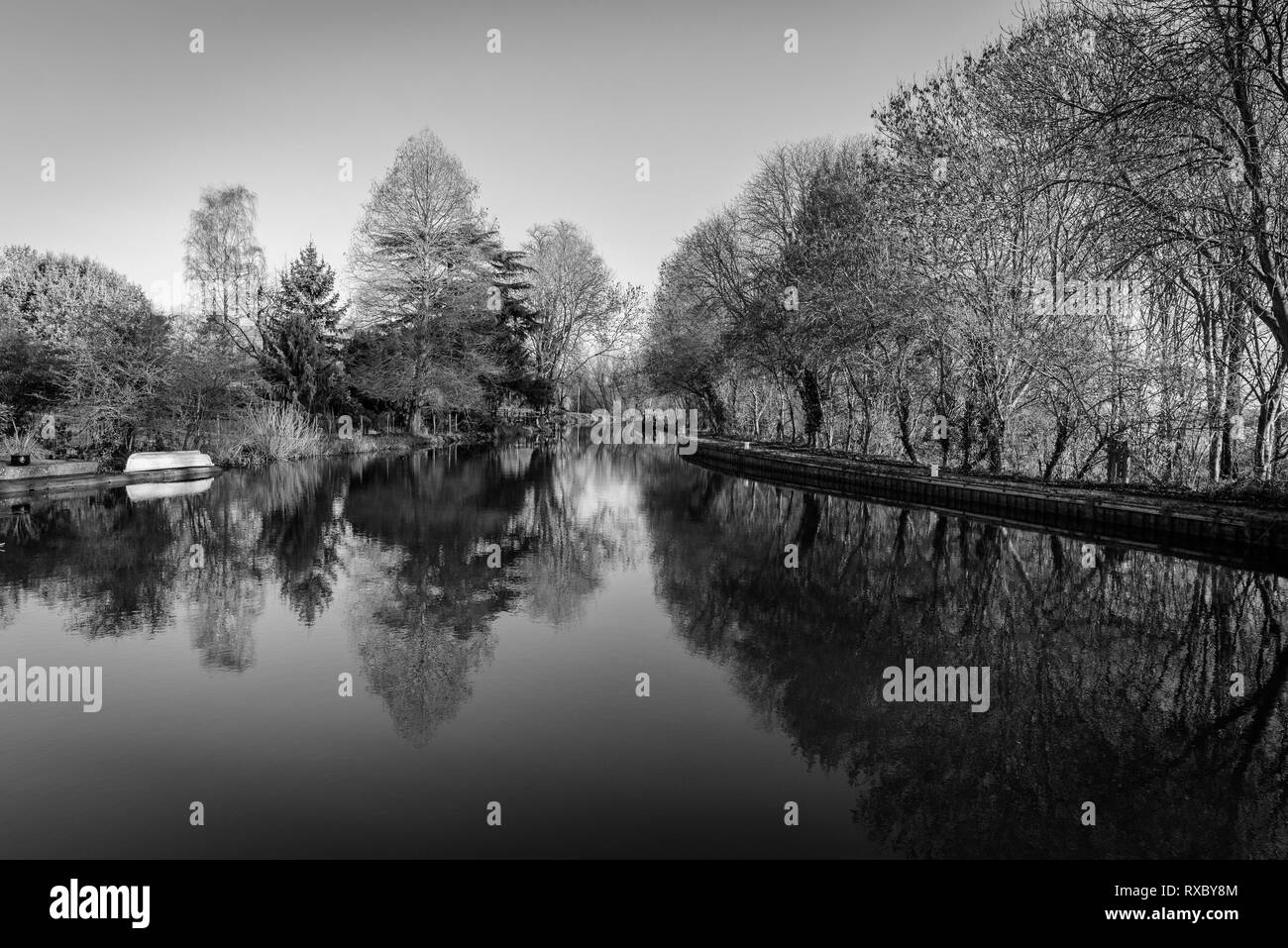 Black and white tree reflection Stock Photo Alamy