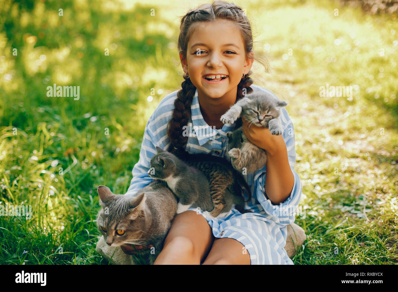 beautiful girl with cats Stock Photo Alamy