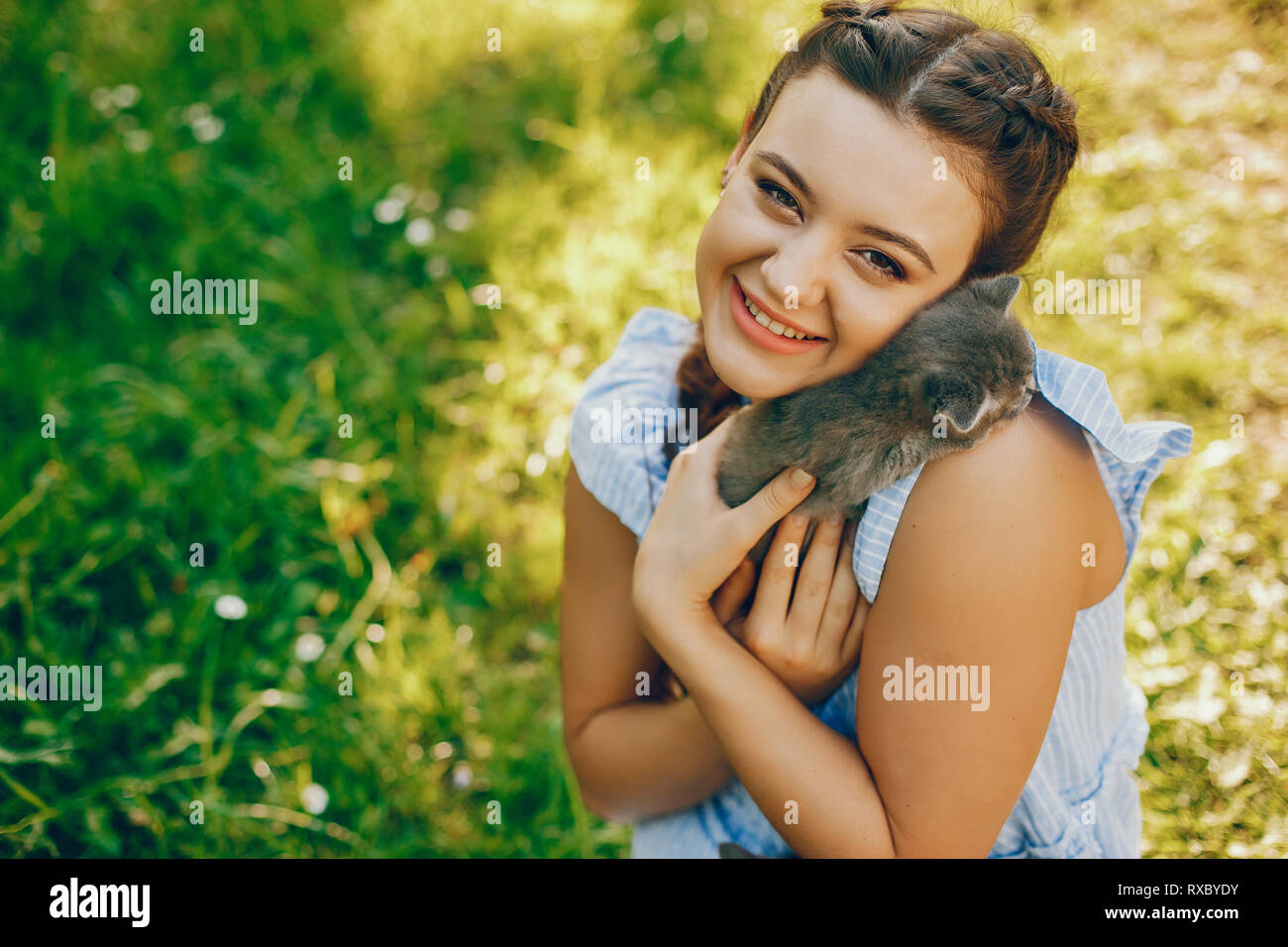 beautiful girl with cats Stock Photo Alamy