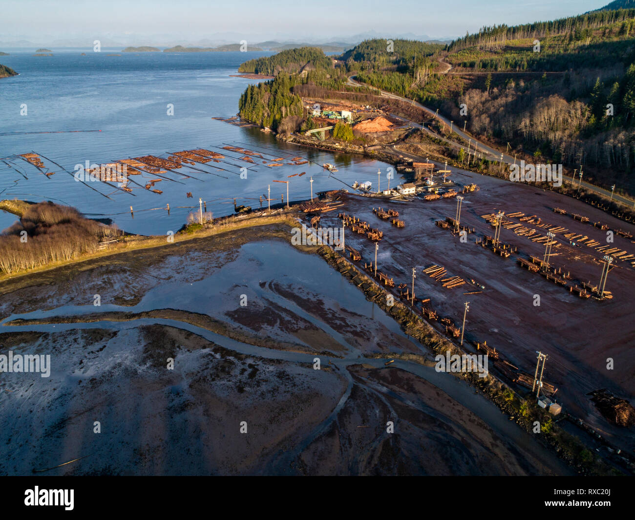 Aerial view of logs in the water at Beaver Cove Log Sort near Telegraph Cove, Northern Vancouver Island, British Columbia, Canada. Stock Photo