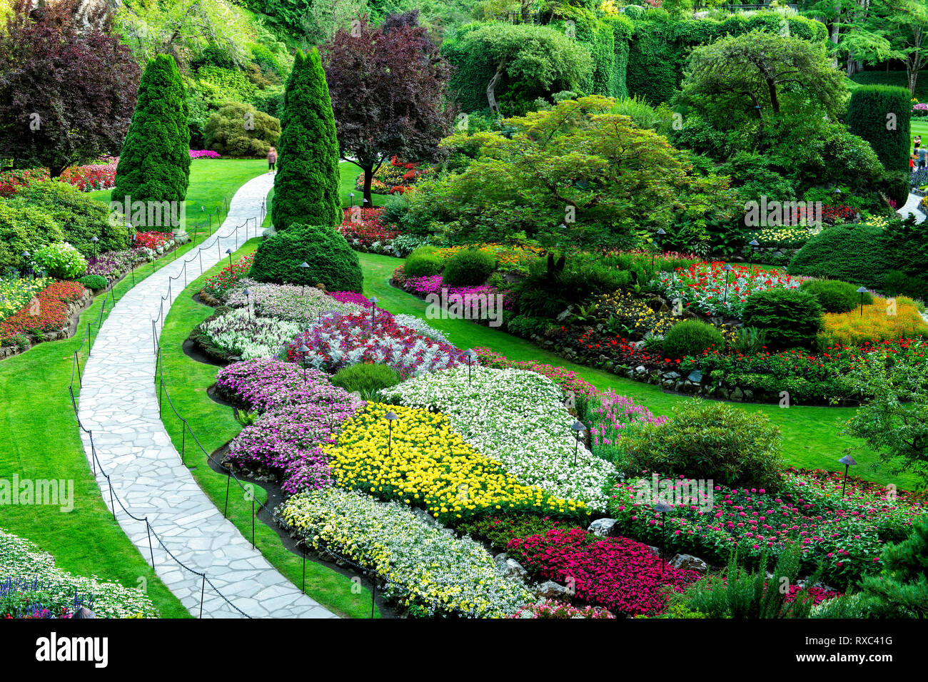Summer in the Sunken Garden, Butchart Gardens, Central Saanich,(Victoria),  BC, Canada Stock Photo - Alamy