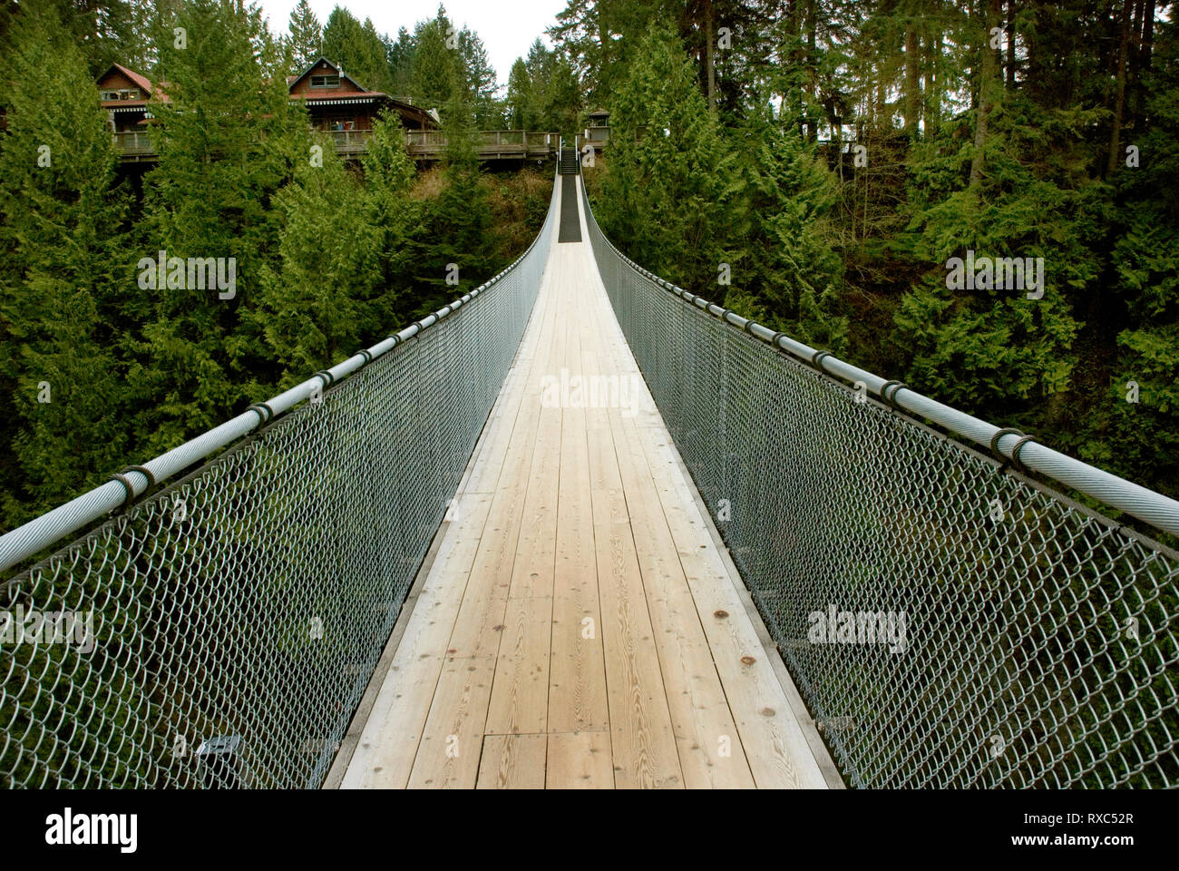 Capilano Suspension Bridge, Vancouver, British Columbia, Canada Stock Photo