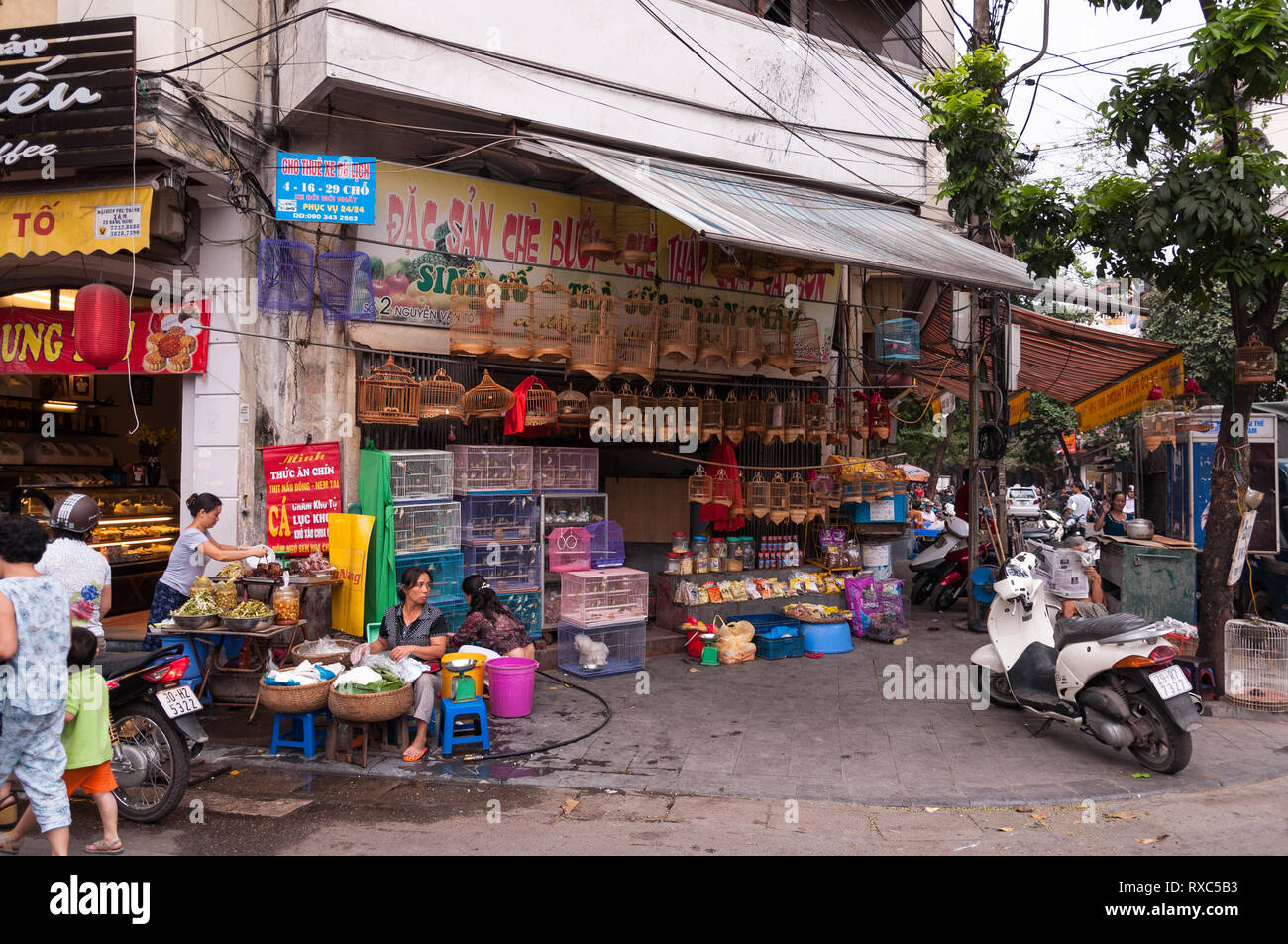 A pet shop with several bird cages on display outside it, Hanoi