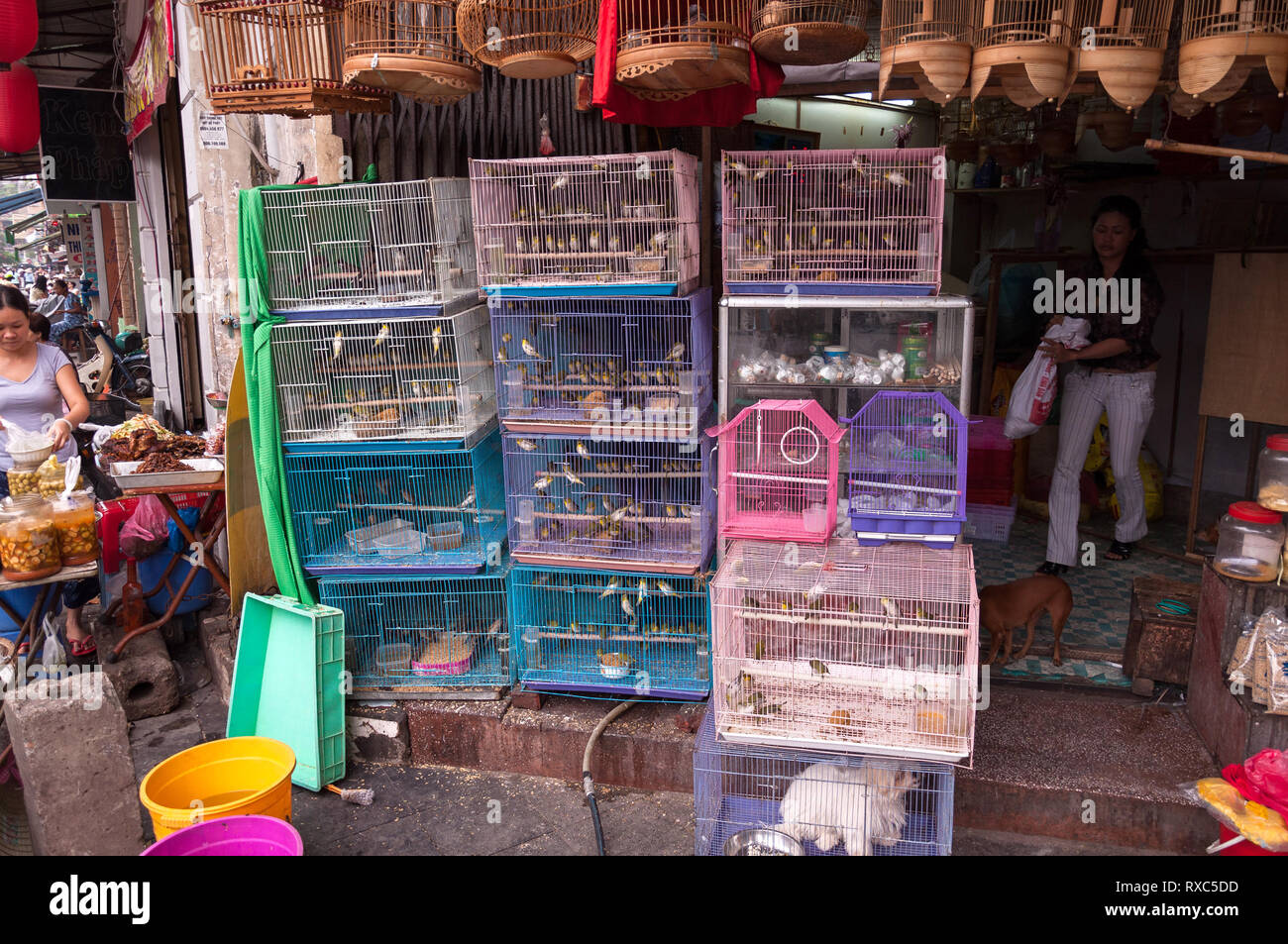 A pet shop with several bird cages on display outside it, Hanoi
