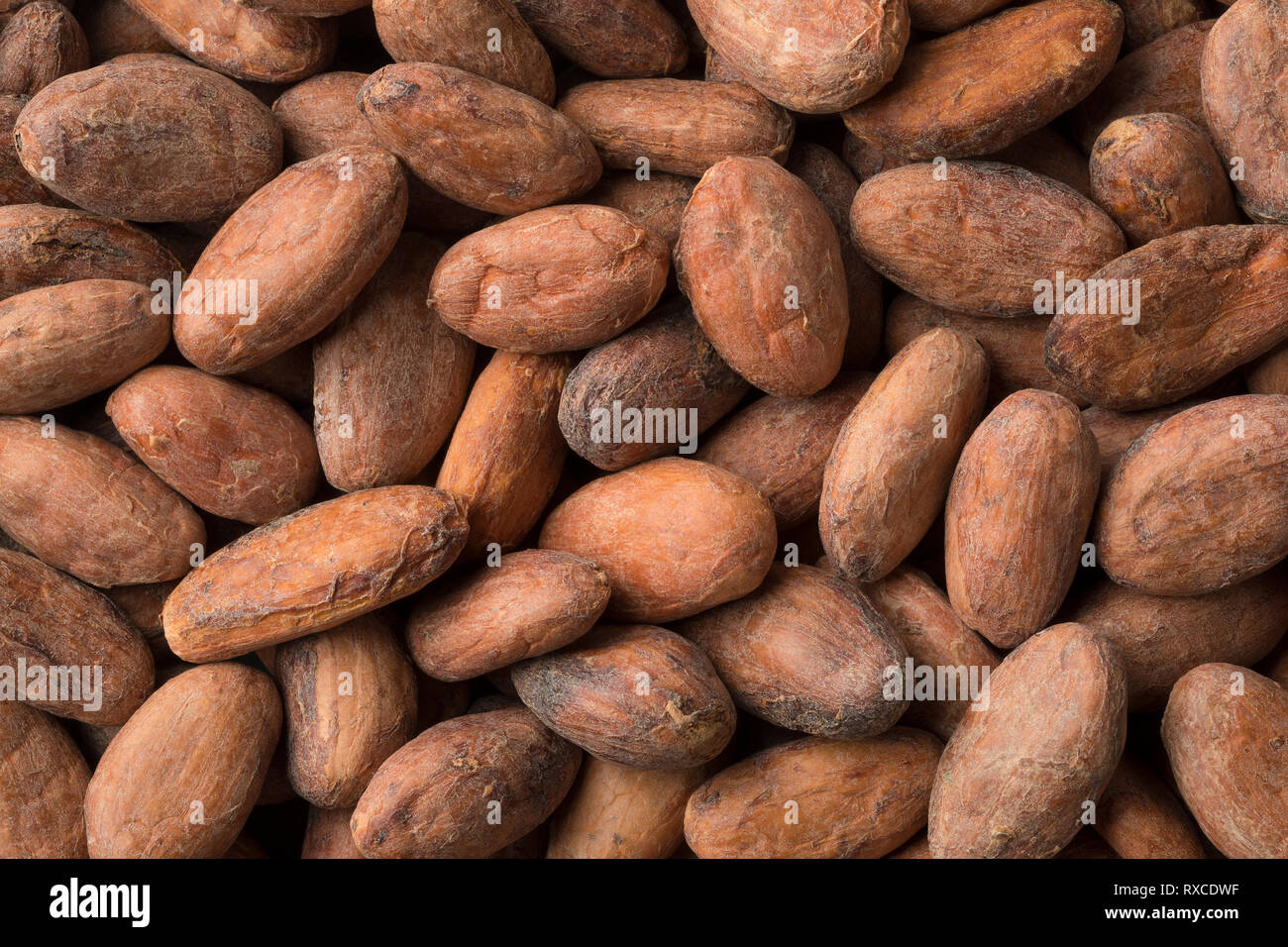 Whole organic cocoa beans full frame close up Stock Photo