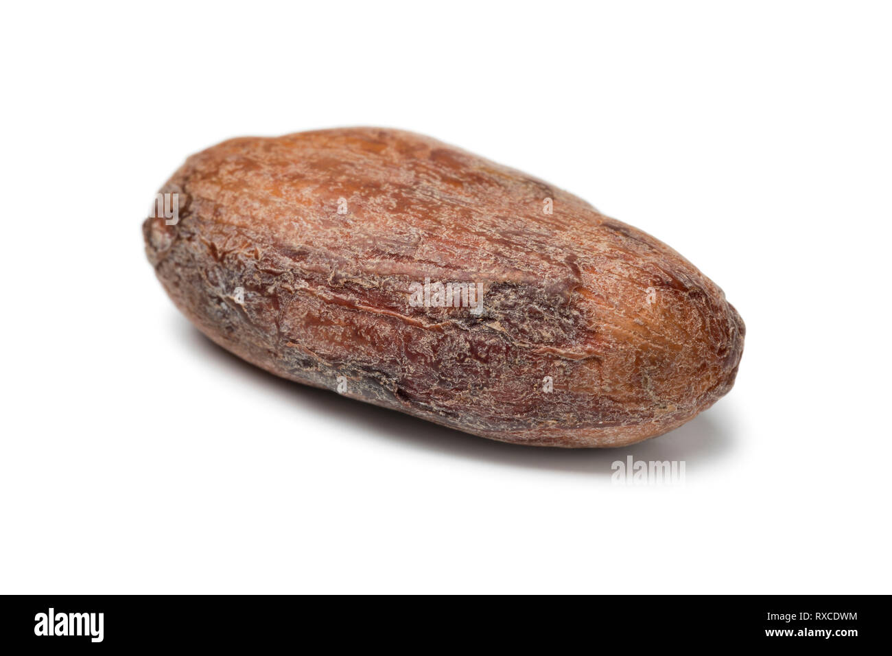 Single whole cocoa bean close up isolated on white background Stock Photo