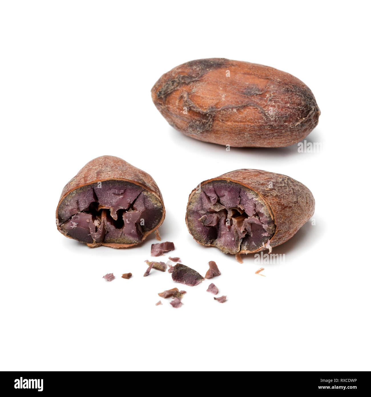 Whole and halved cocoa bean close up isolated on white background Stock Photo