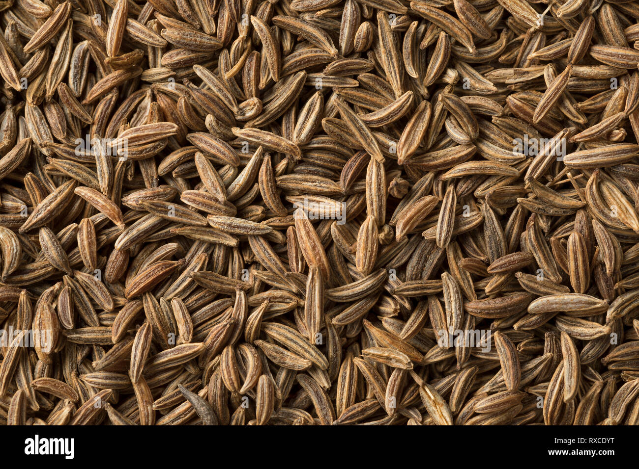 Dried organic Caraway seeds full frame close up Stock Photo