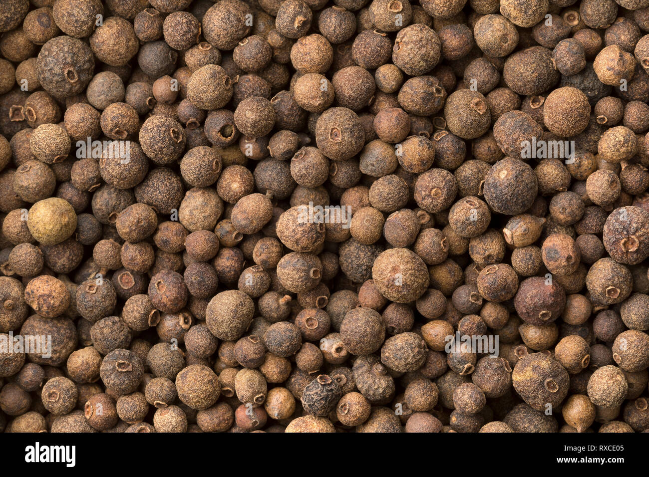 Allspice, dried unripe fruit, full frame close up Stock Photo