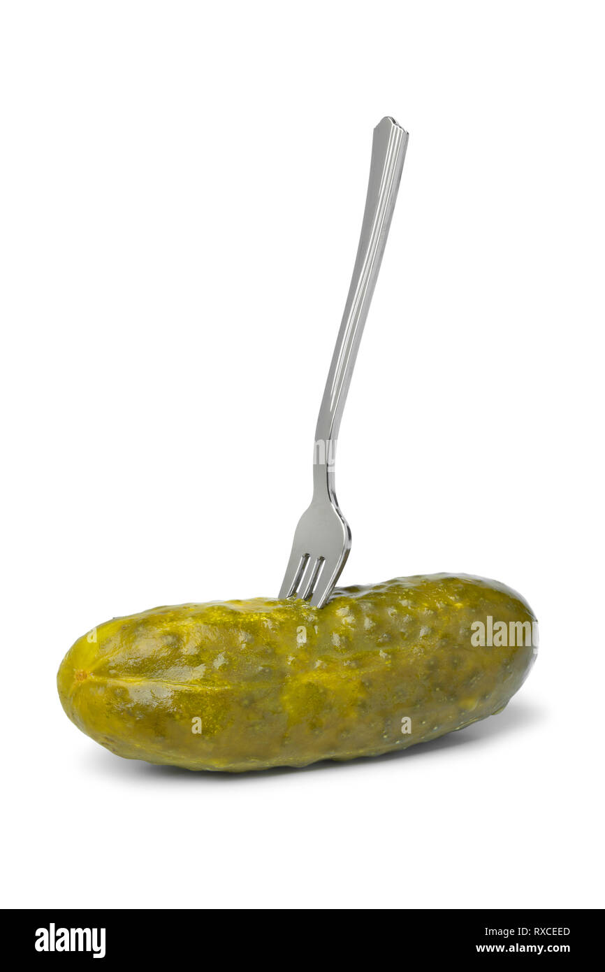 Whole pickled gherkin on a fork close upon white background Stock Photo