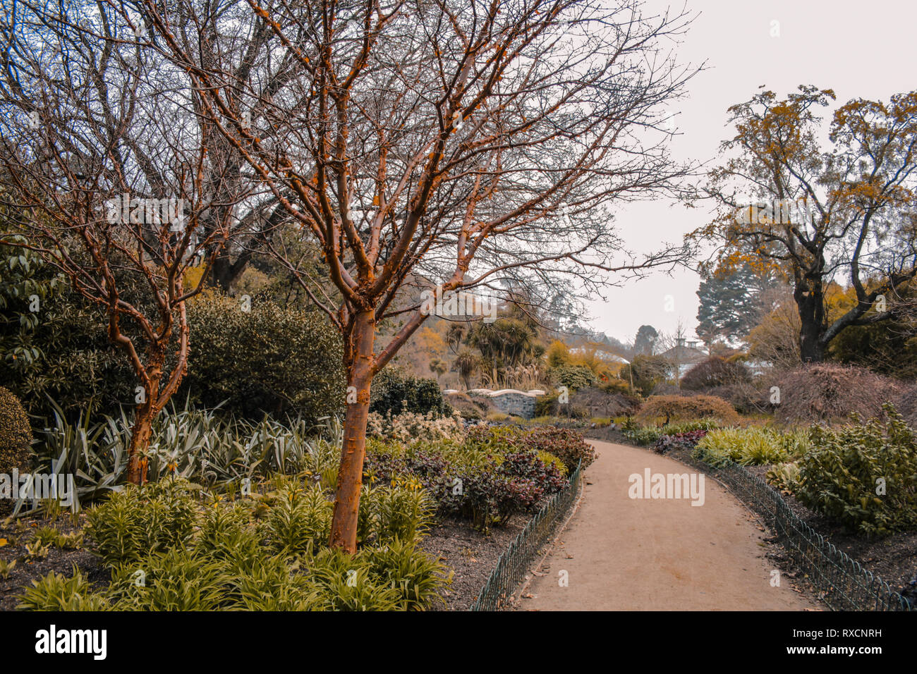 Dunedin Botanic Garden, South Island, New Zealand Stock Photo