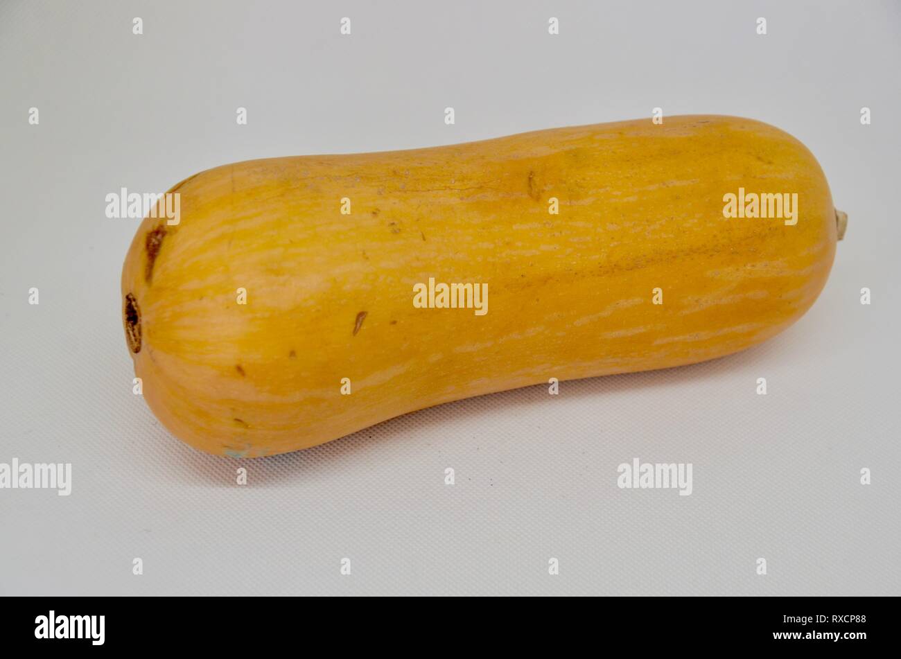 a butternut squash on a white background Stock Photo