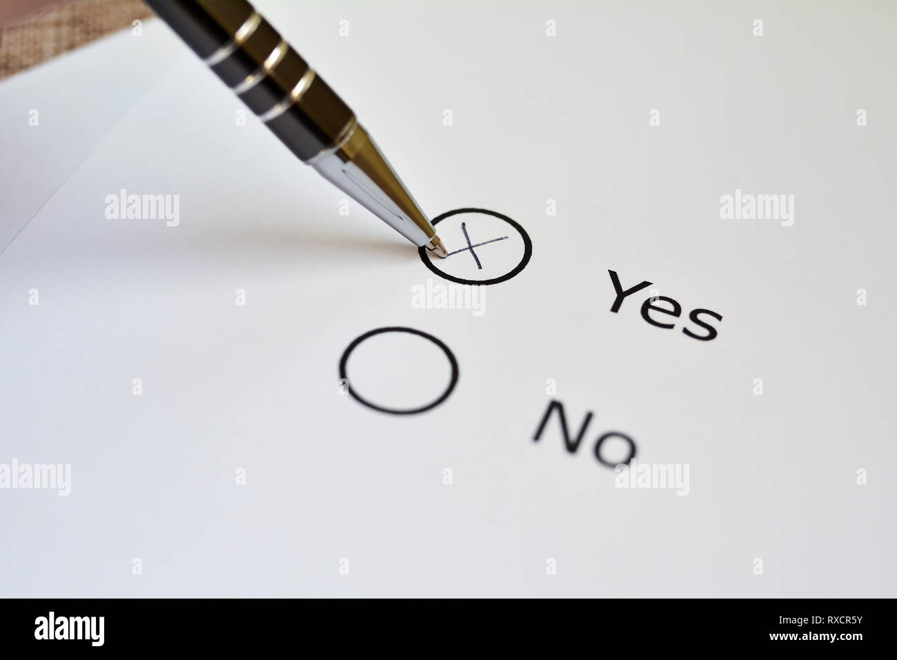 Vote on yes or no on a ballot Stock Photo