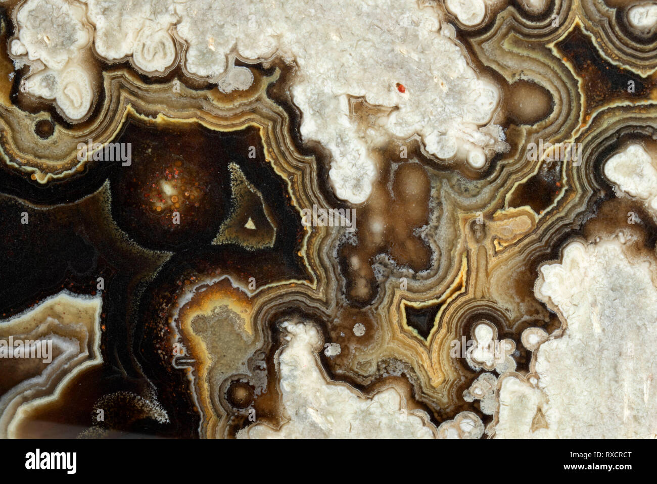Mexican lace agate Stock Photo - Alamy