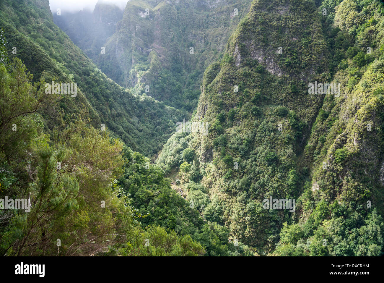 Schlucht  am Wanderweg der Levada do Caldeirao Verde, Queimadas Forestry Park, Madeira, Portugal, Europa |  gorge at the hiking trail Levada do Caldei Stock Photo