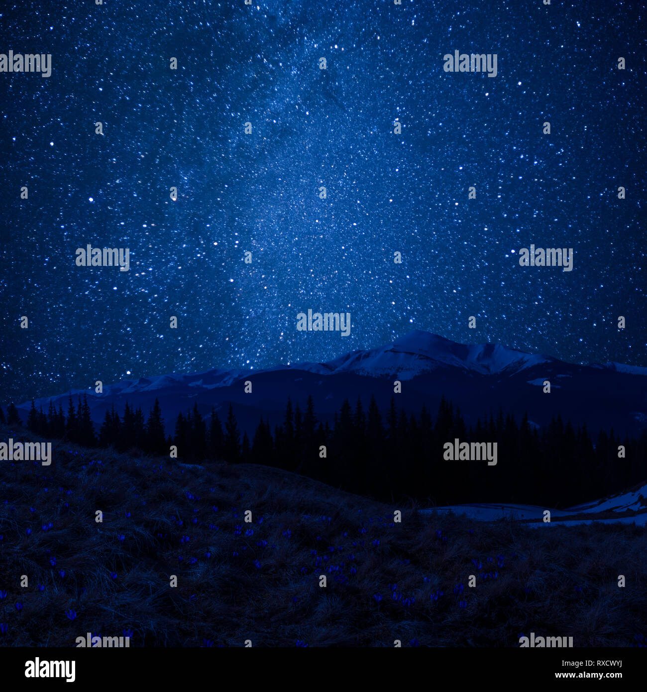 Night landscape with beautiful mountains and majestic stars sky Stock Photo