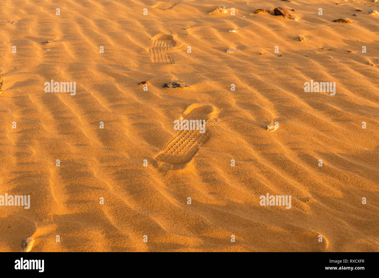 Dune Waves In Sahara Desert Human Footprints In The Sand Stock Photo 