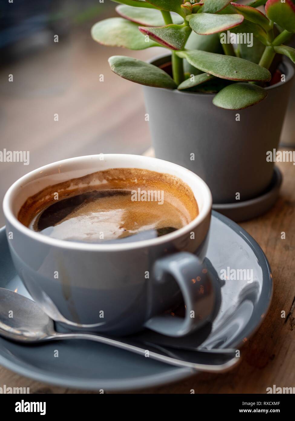 A large cup of fresh black coffee on a wooden bar in a coffee shop Stock Photo