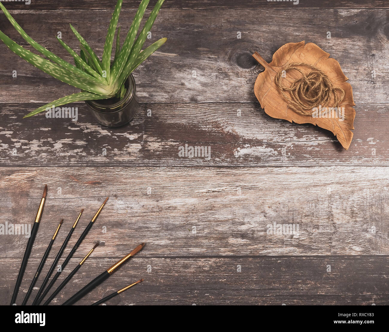 Top view of paintbrushes, natural twine and a green Aloe vera plant on rustic wood background with copyspace - Concept of artistic creative artwork Stock Photo