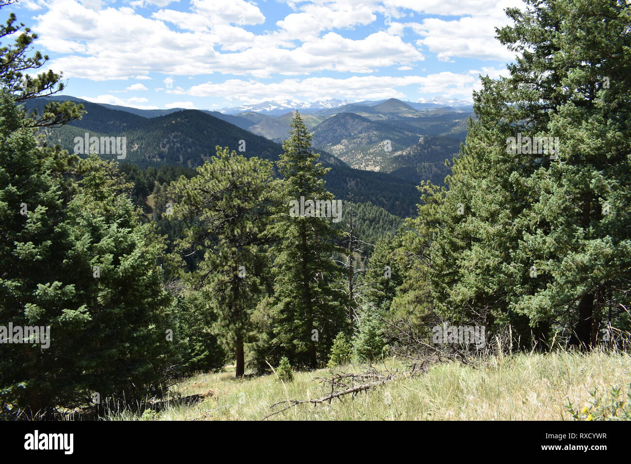 Hiking Trail Views in Boulder Colorado Stock Photo
