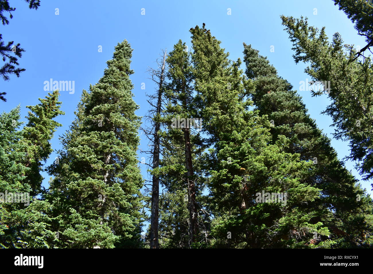 Hiking Trail Views in Boulder Colorado Stock Photo