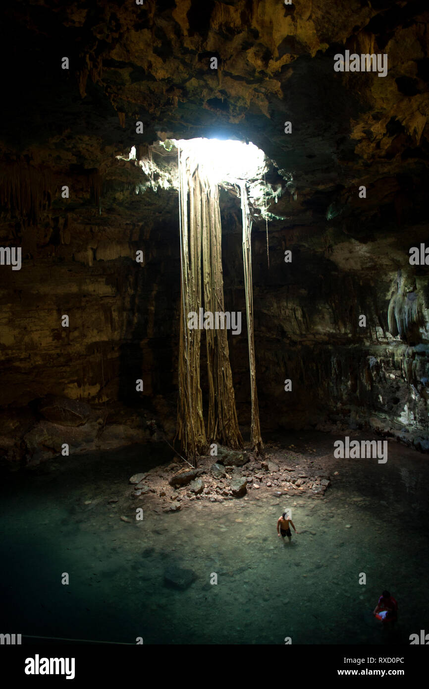 Yucatan peninsula cenotes hi-res stock photography and images - Alamy, image size:866x1390