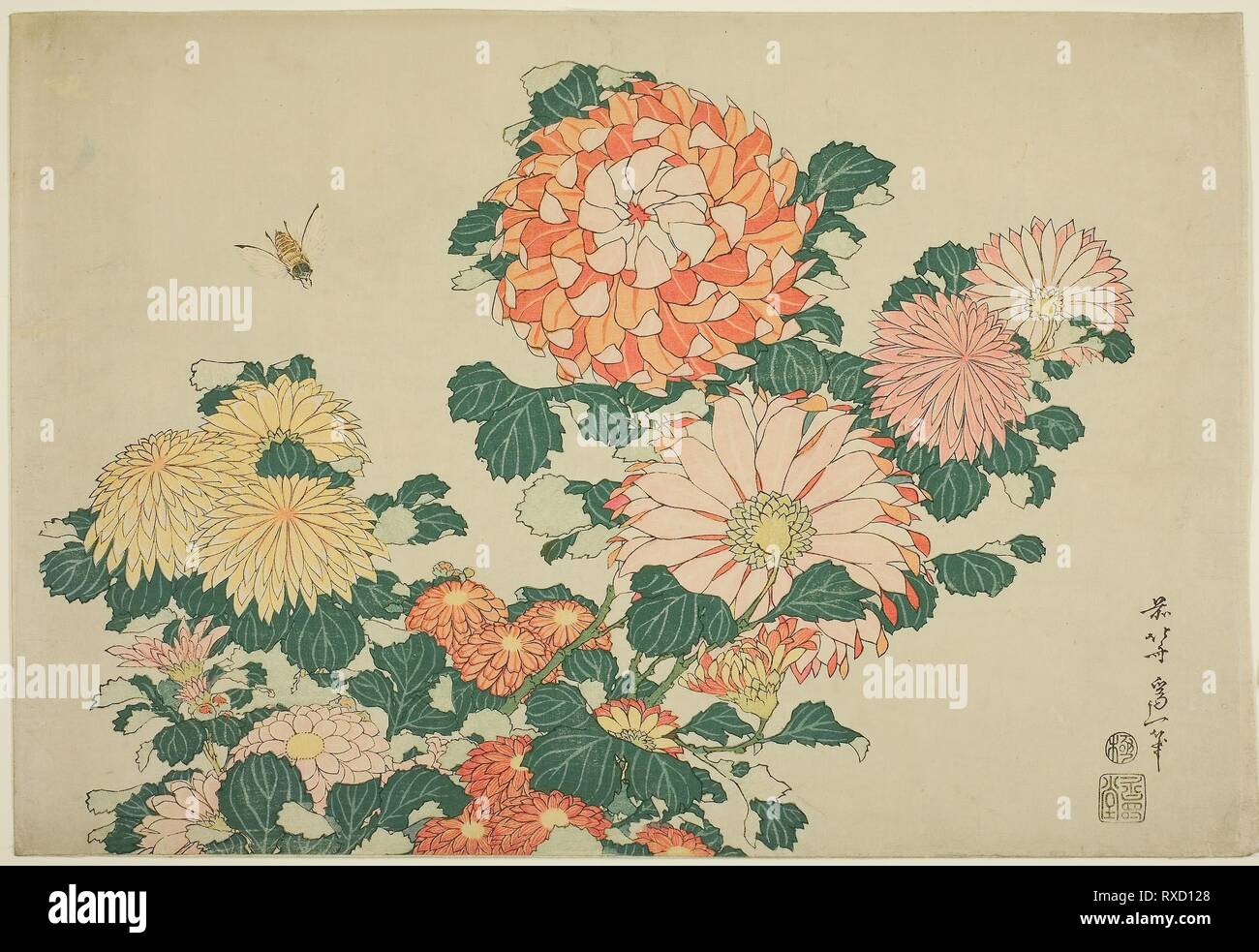 Frances Bett 静物画 本と花 オランダ黄金時代 花の静物画 画集「Bouquets」 - メルカリ