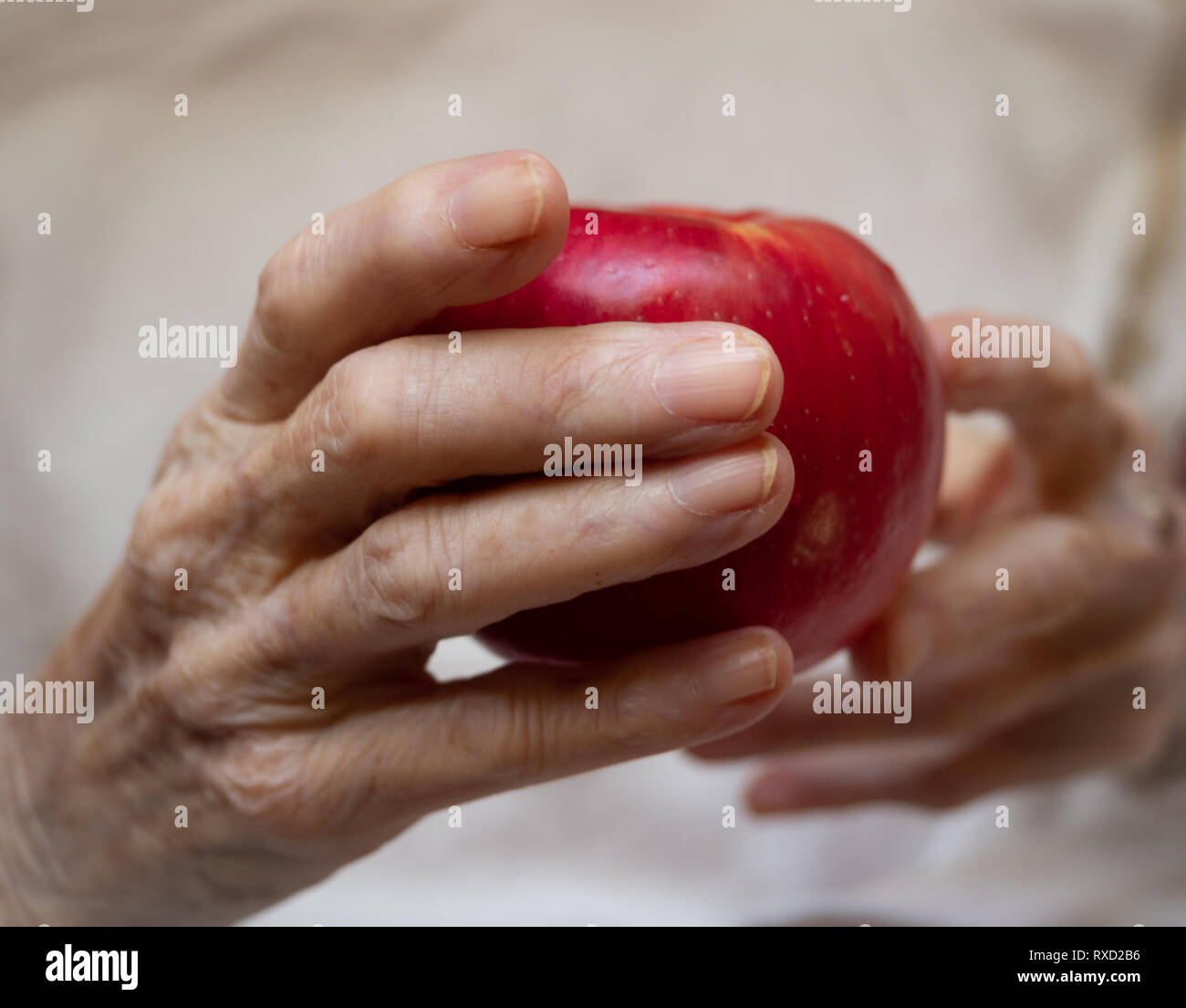 An elderly caucasian woman's hands holding a ripe red apple against an off white background. Shallow depth of field. Stock Photo