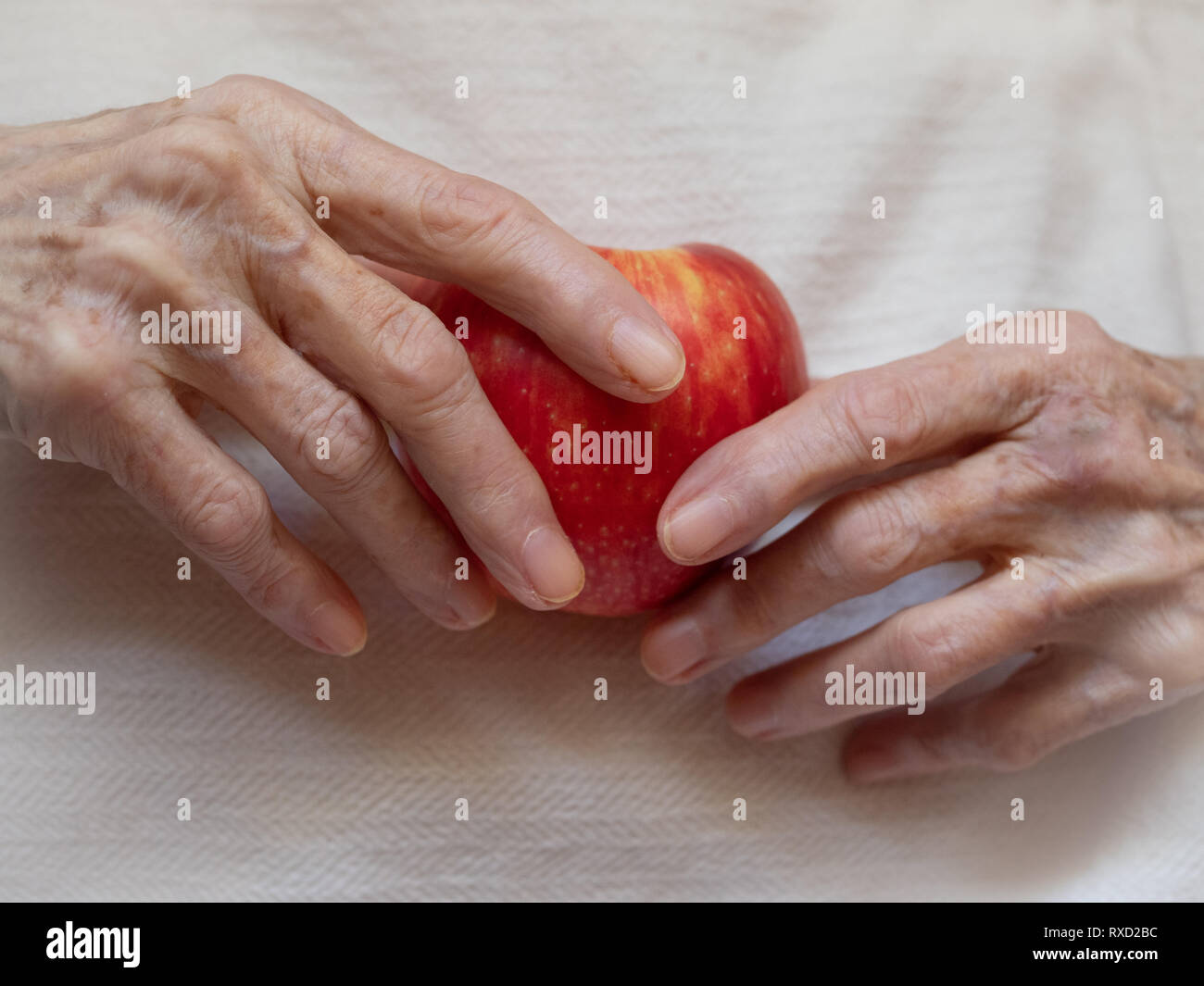 Elderly white woman's hands holding an organic red apple against an off white background. Shallow depth of field. Stock Photo