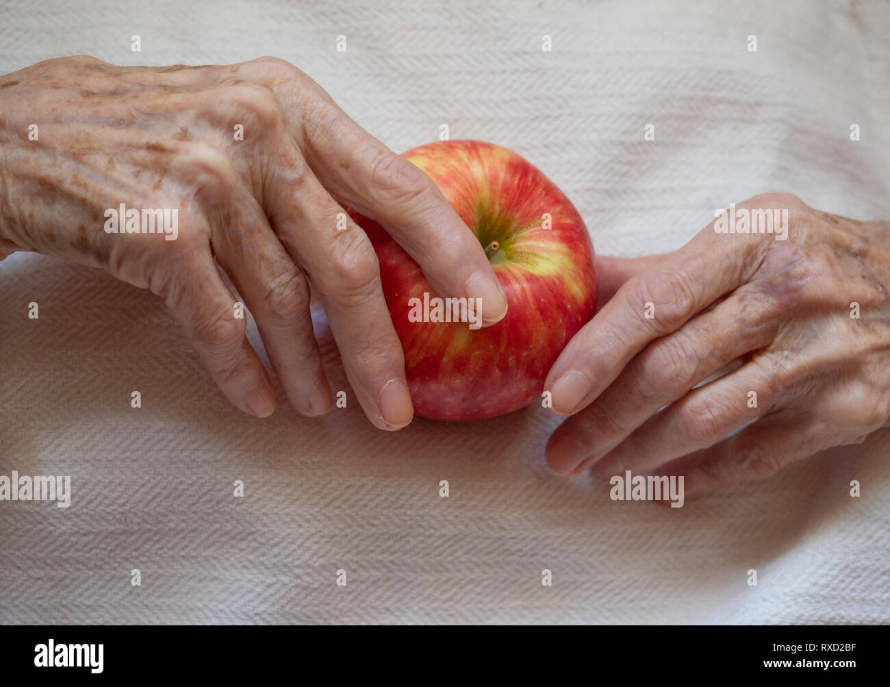 Elderly woman holding a ripe apple in her wrinkled hands against an off white background photographed from above. Stock Photo