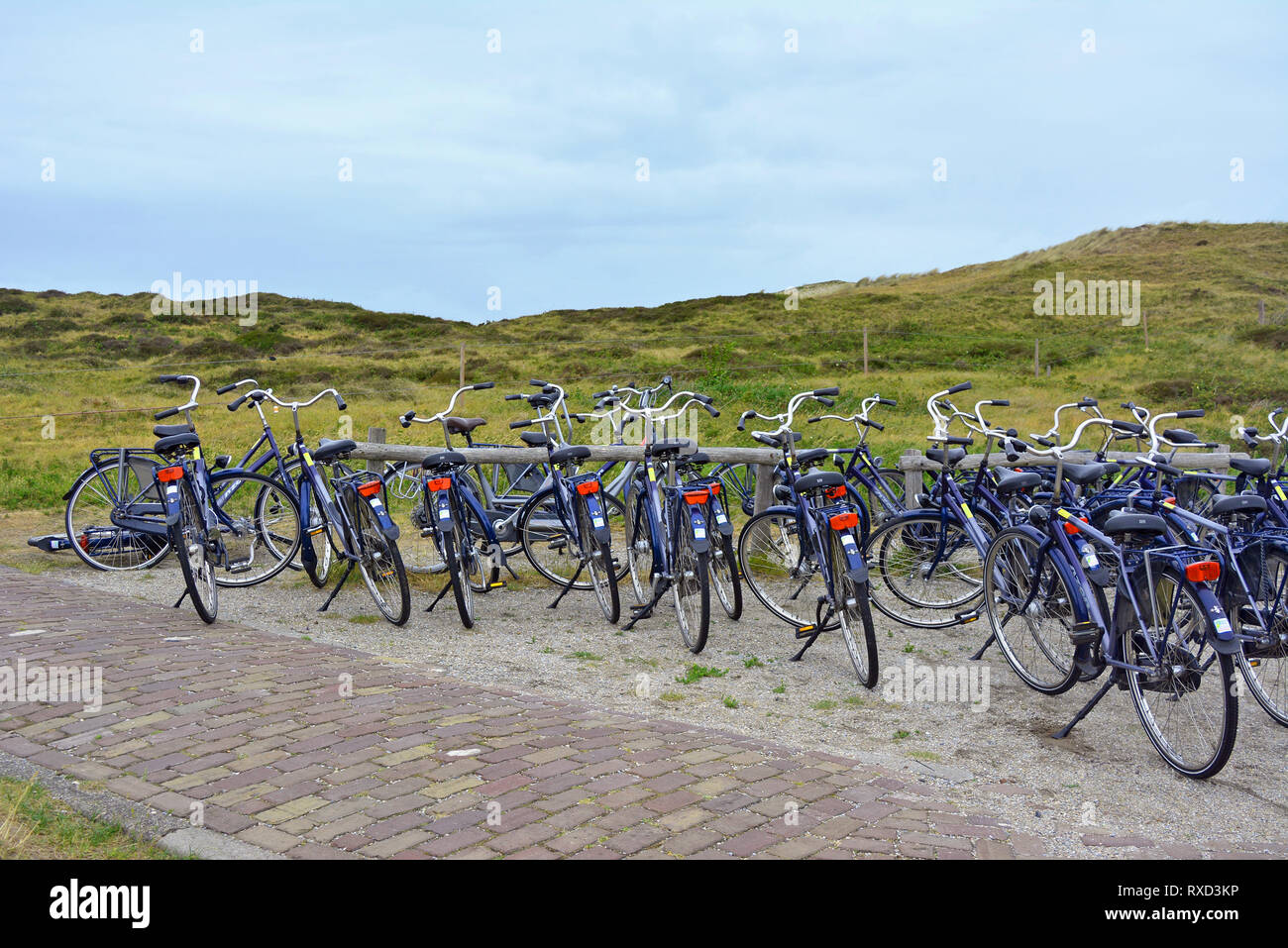 Many identical rental bicycles parking in front of integral nature reserve in Texel Netherlands Stock Photo