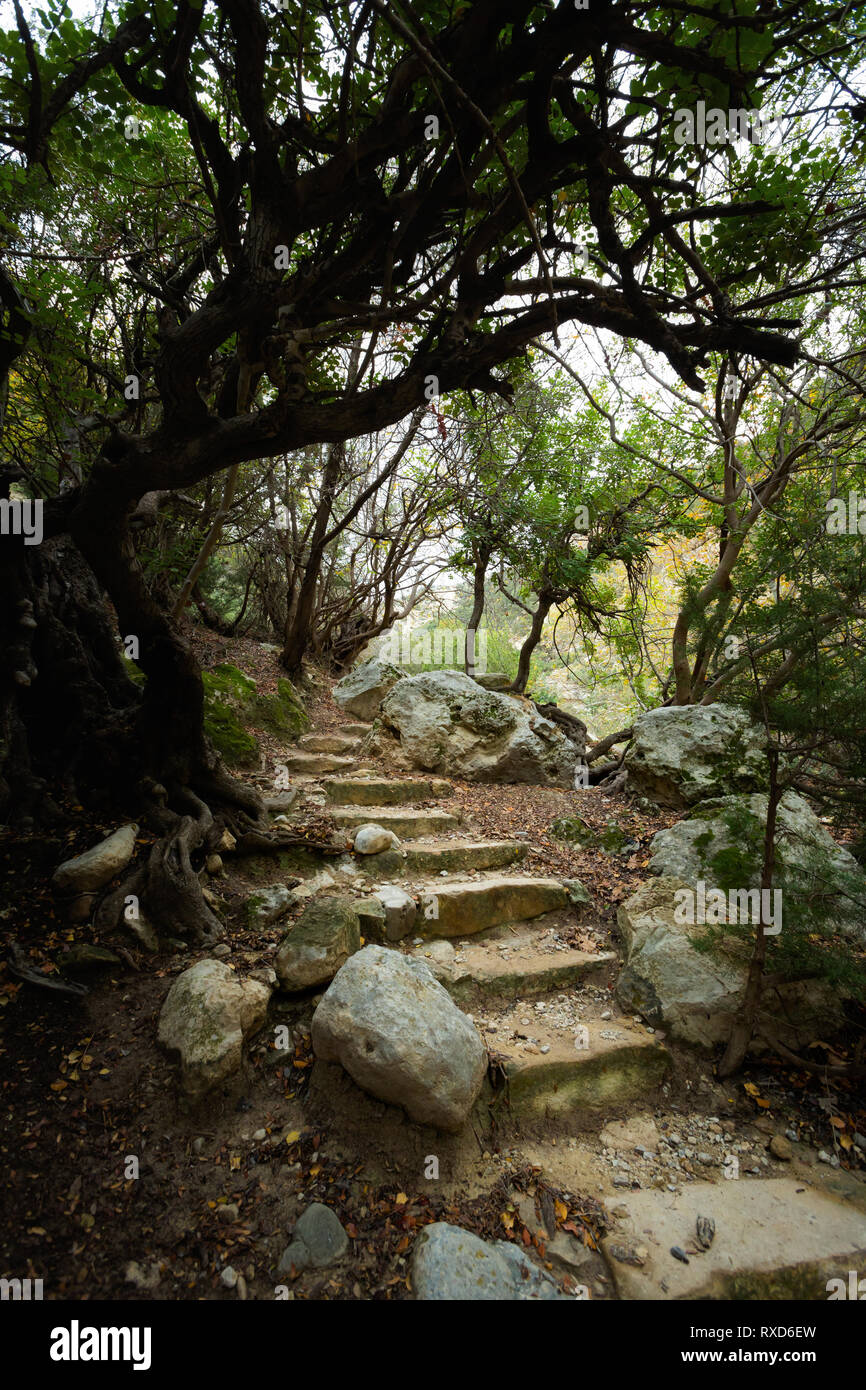 Avakas gorge nature trail hi-res stock photography and images - Alamy