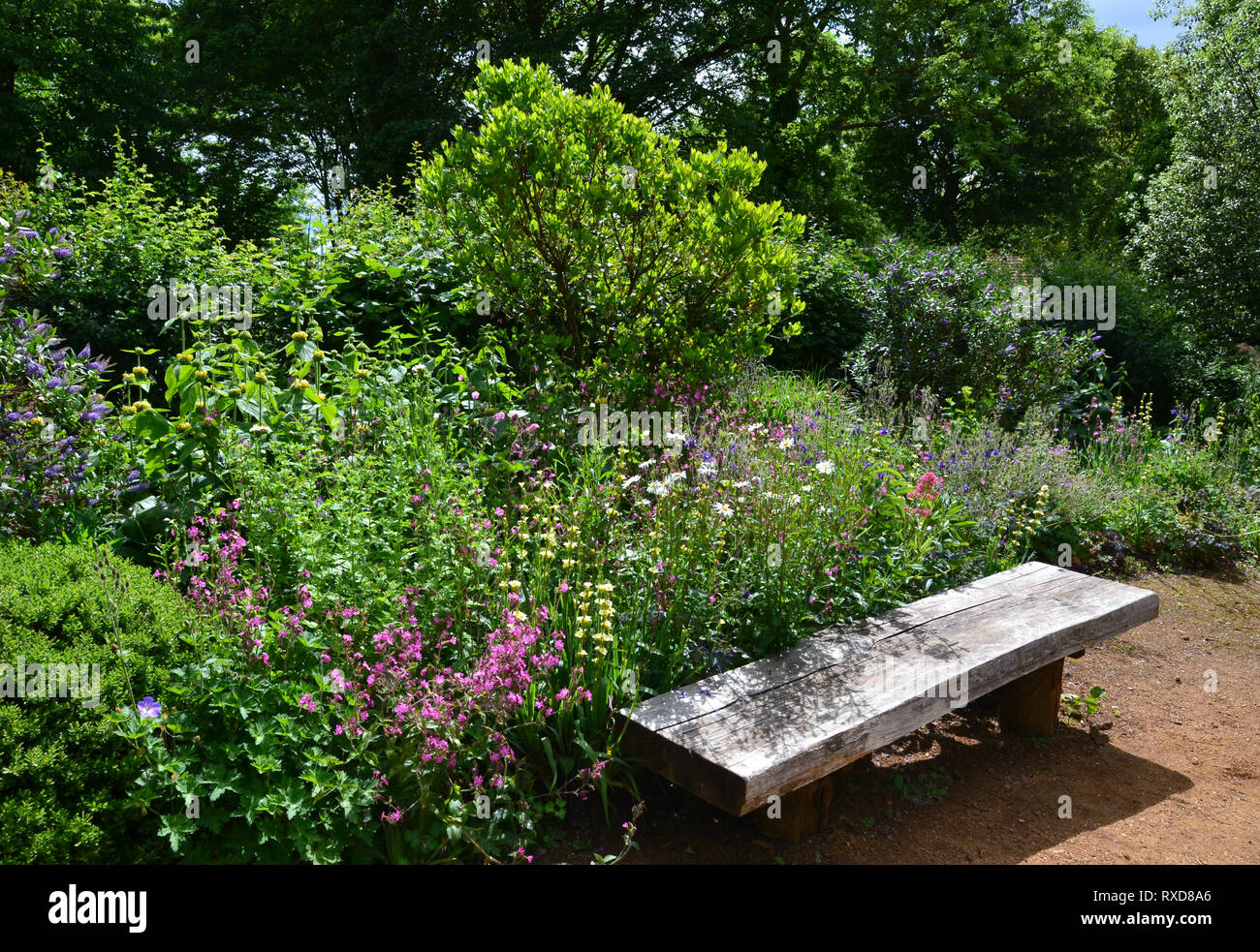 RSPB Garden, designed for Wildlife, at Flatford, Suffolk, UK Stock Photo