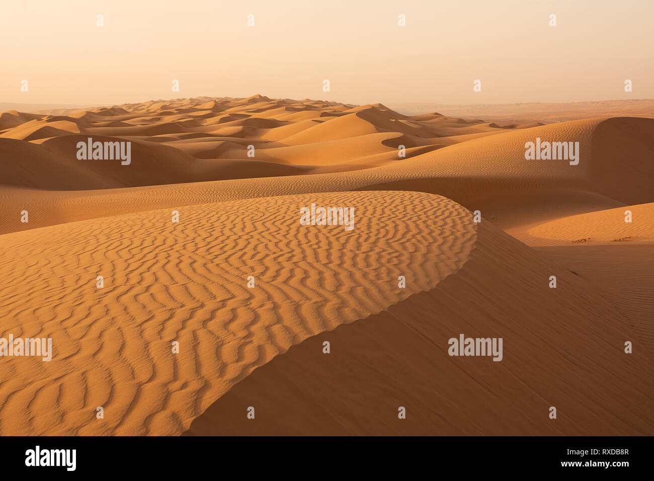 Dunes of the Wahiba Sand Desert at dawn (Oman Stock Photo Alamy