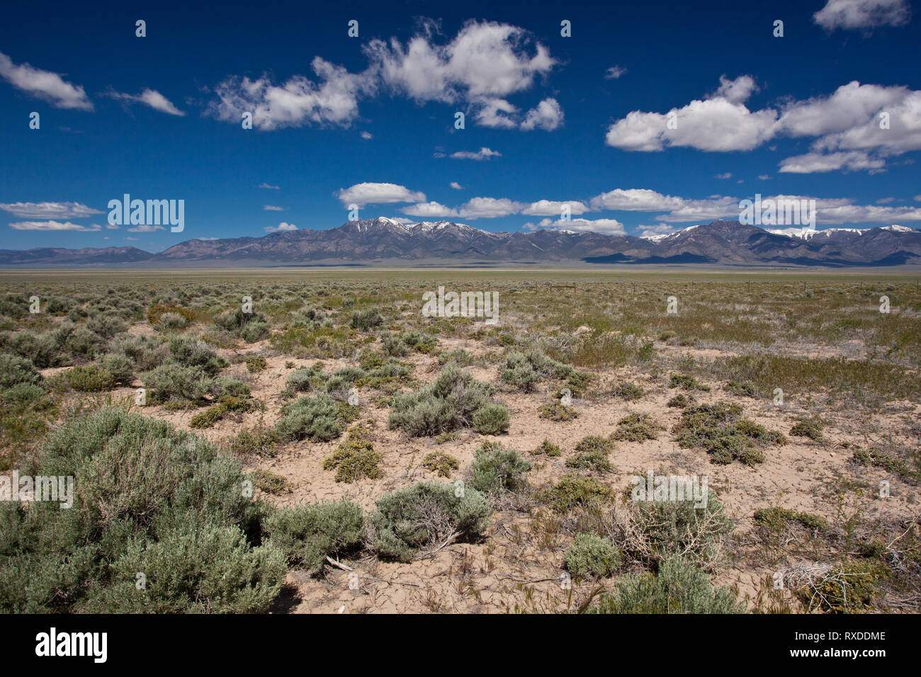 Cherry Creek Range, White Pine County, Nevada, USA Stock Photo Alamy