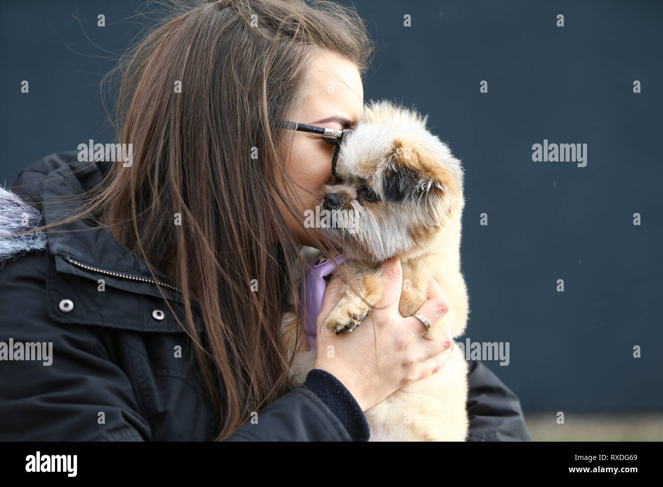 Crufts 9th cheap march 2019