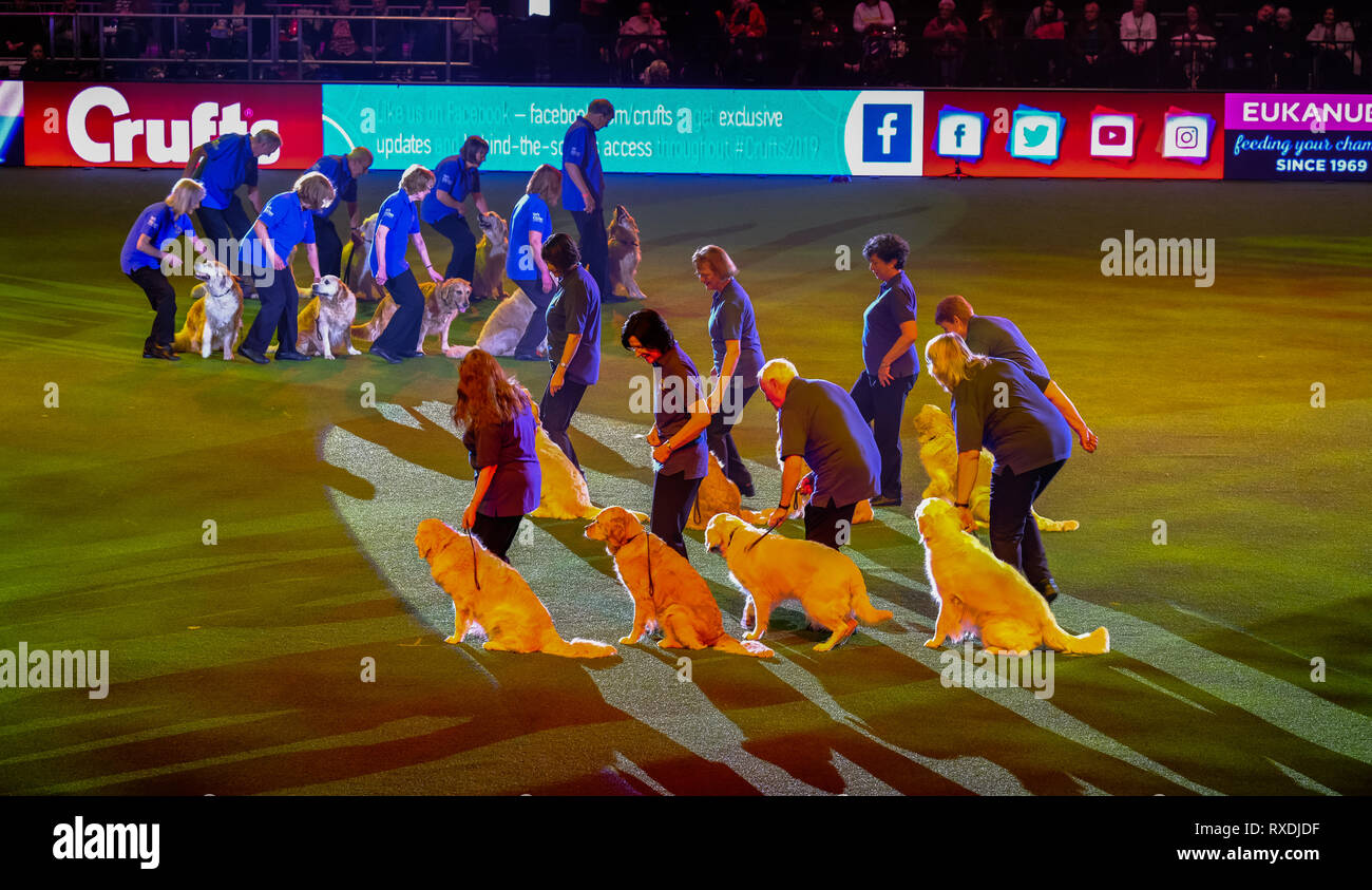 NEC, Birmingham, UK. 9th Mar 2019. Southern Golden Display Team performing in the main arena at this years Crufts Credit: charlie bryan/Alamy Live News Stock Photo